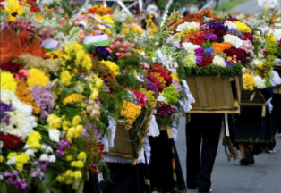 Descubre la Tradición de los Silleteros en Medellín